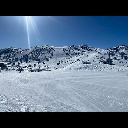 U061 - Grand Studio Renove - Vue Montagne Greolieres Εξωτερικό φωτογραφία