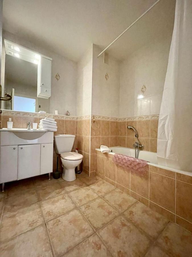U061 - Grand Studio Renove - Vue Montagne Greolieres Εξωτερικό φωτογραφία